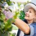 Can Gardening Really Help You Stay Strong, Sharp, and Independent as You Get Older