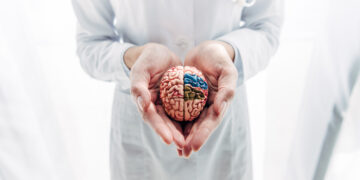 Can You Train Your Brain As You Age? Science Has An Interesting Answer